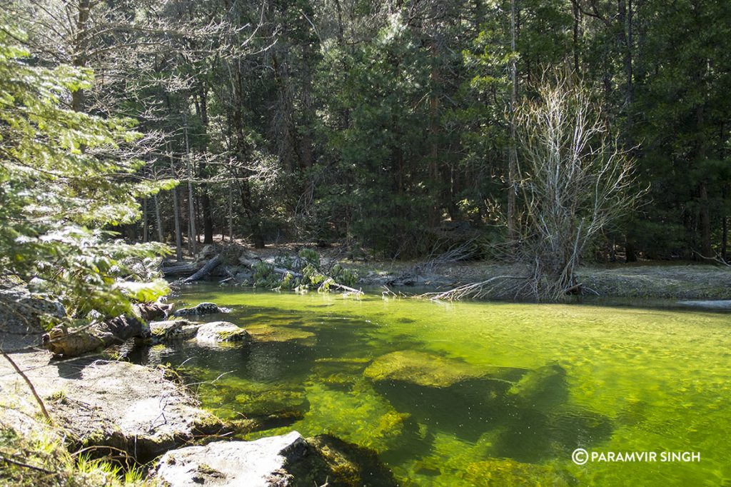 Merced River, Yosemite National Park