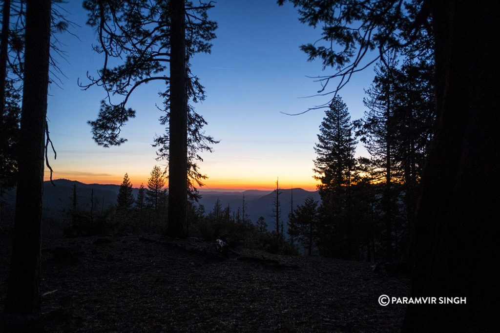 Sequoia National park sunset.