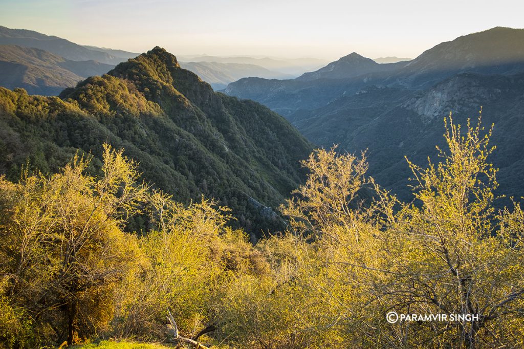 Sequoia National Park