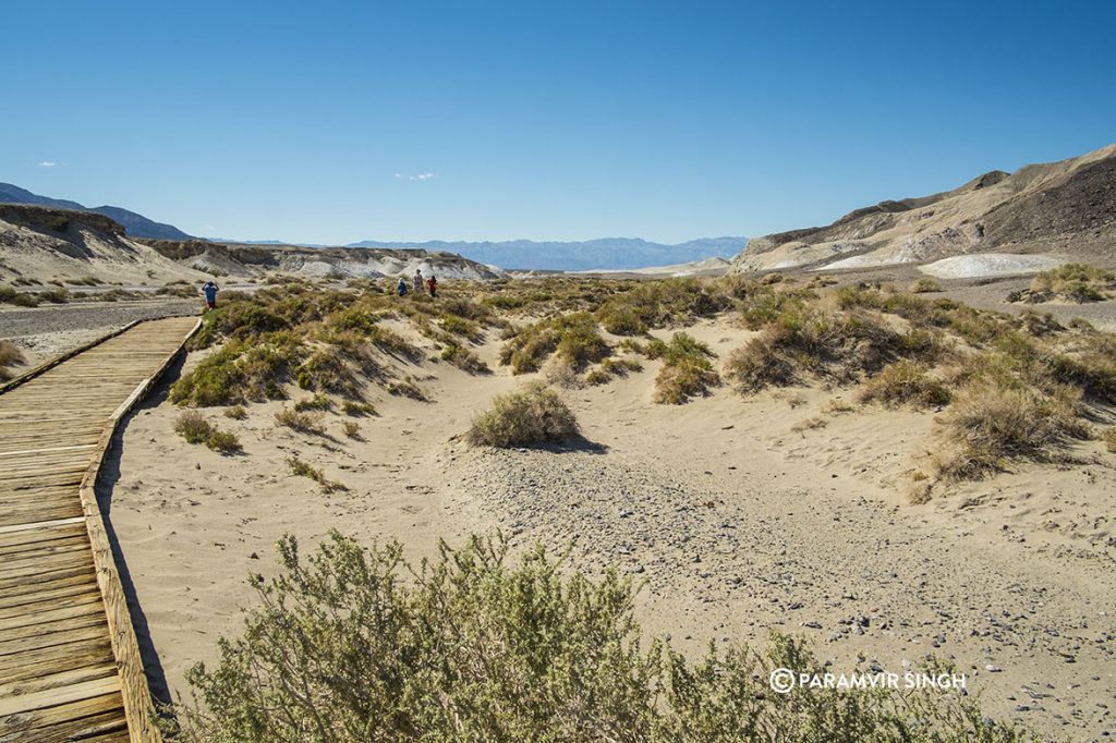 Towards Amargosa River in Death valley National Park