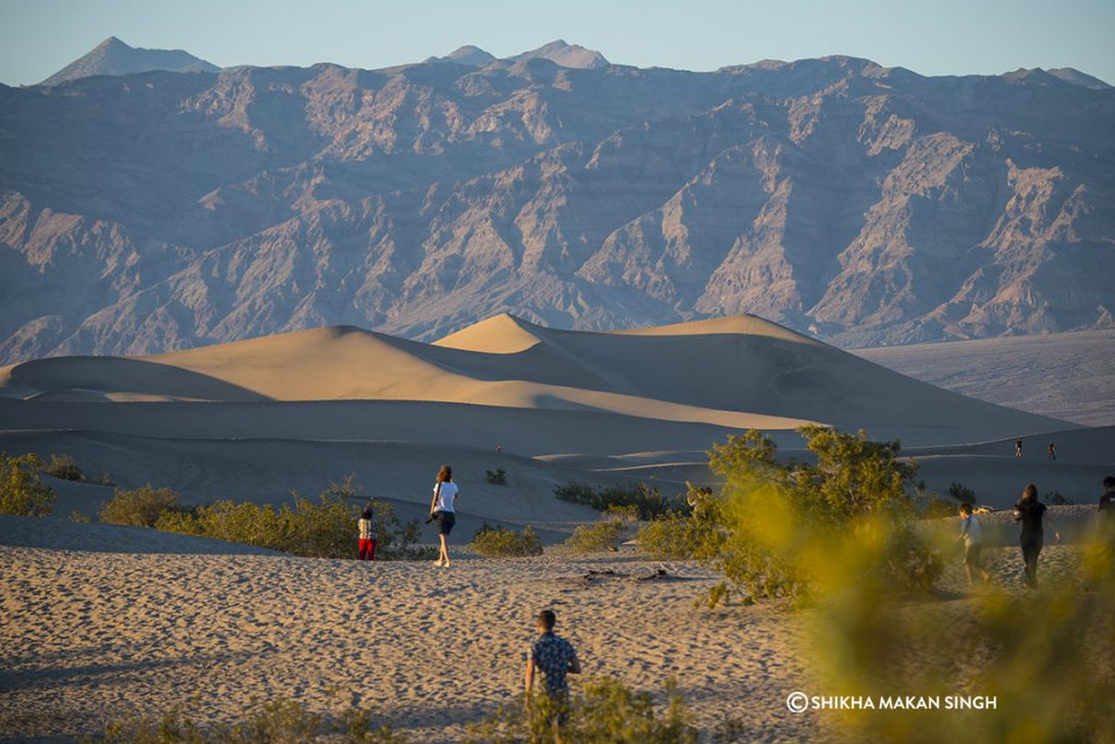 The Mesquite Flat sand dunes at Death Valley National Park