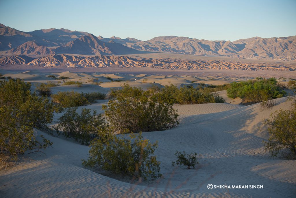 Mesquite Flats in Death Valley National Park