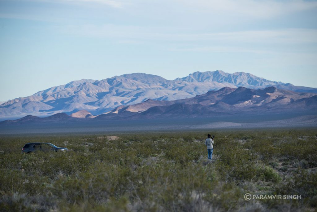 Introspection in Nevada.