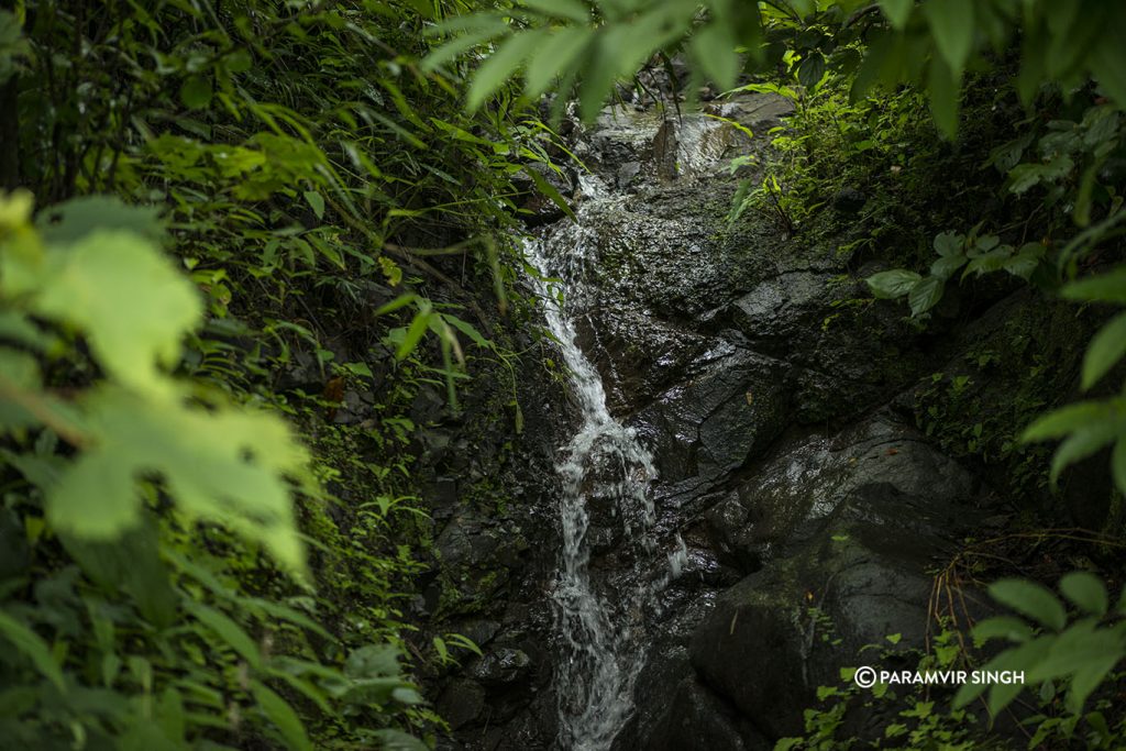 Small Waterfall in Tungareshwar Wildlife Sanctuary