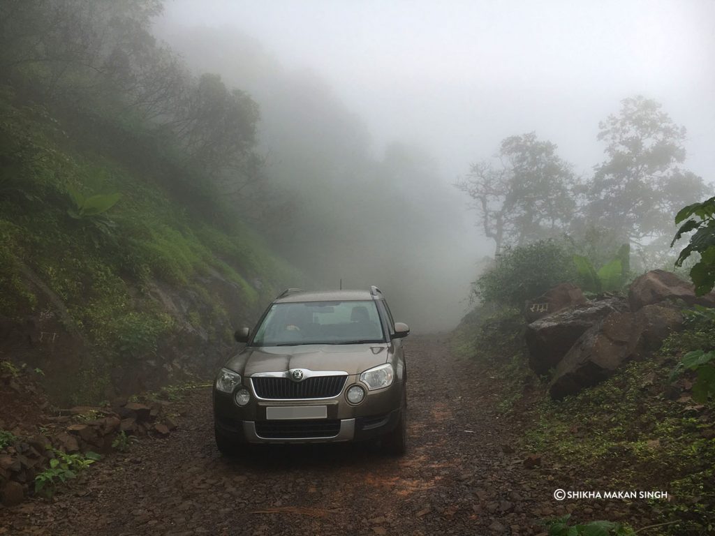 Misty driving into Tungareshwar Wildlife Sanctuary