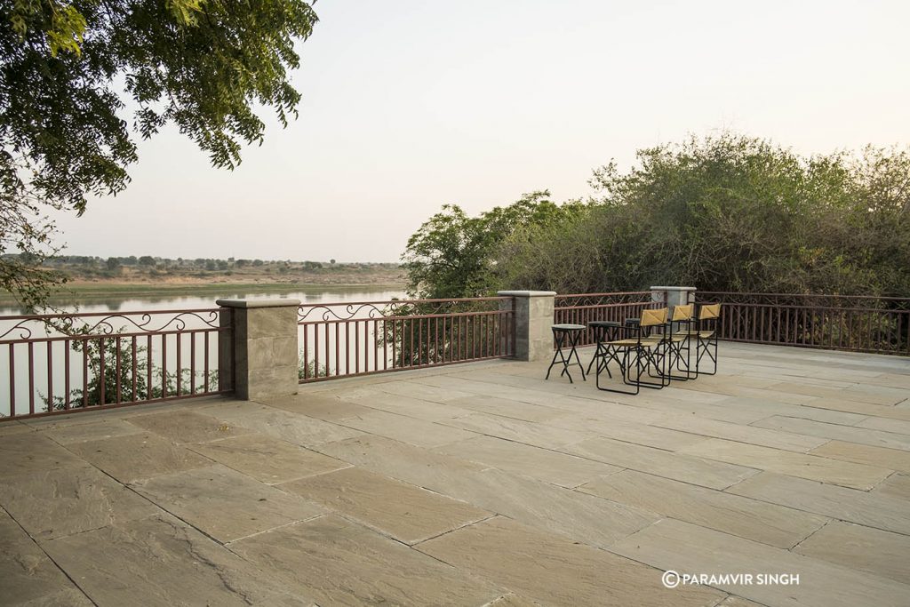 Chambal River Safari