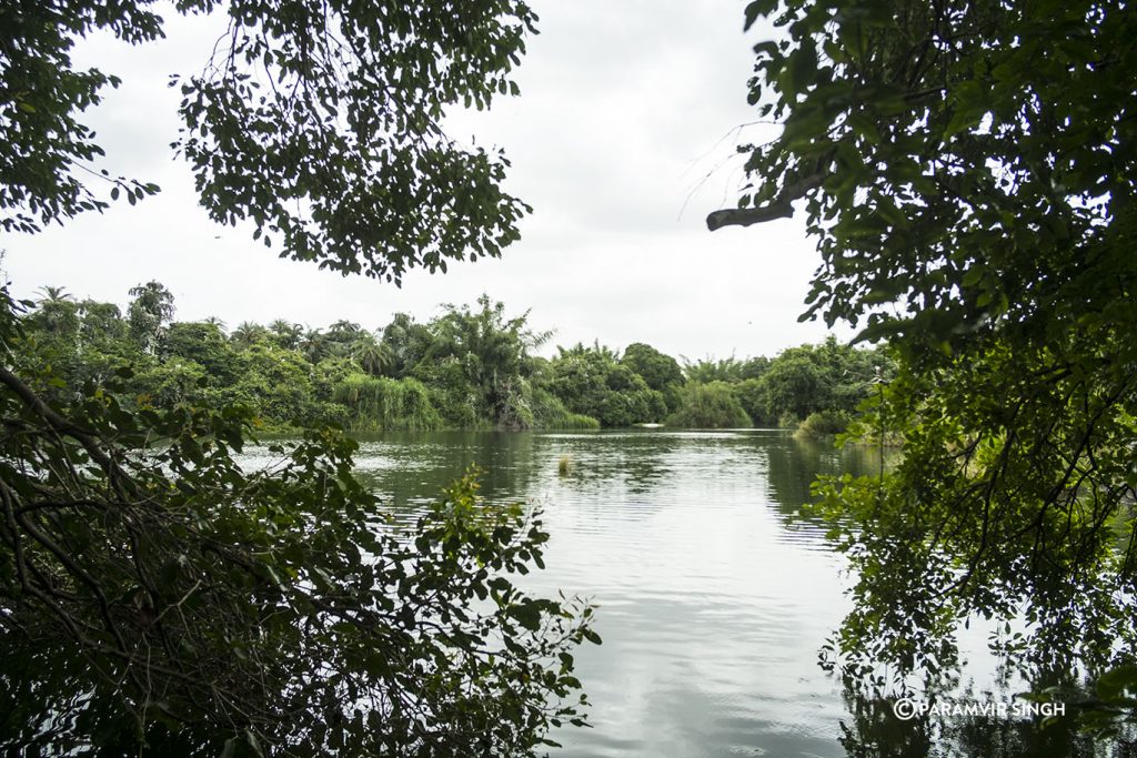 Lake in Chikmagalur