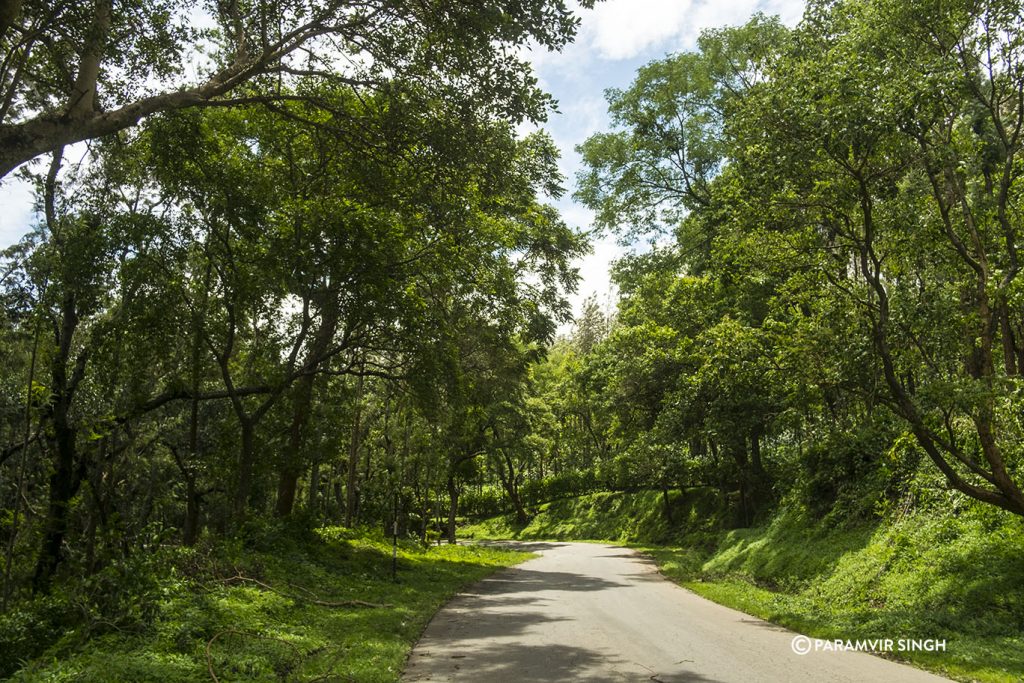 Winding roads of Chikmagalur