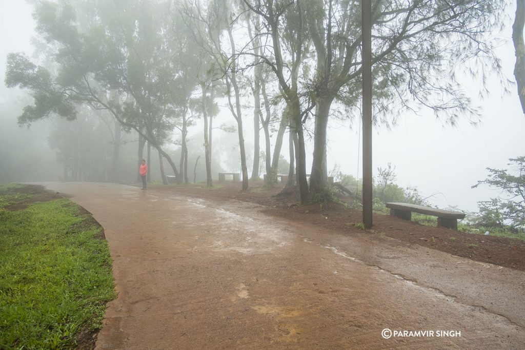 Misty in Chikmagalur