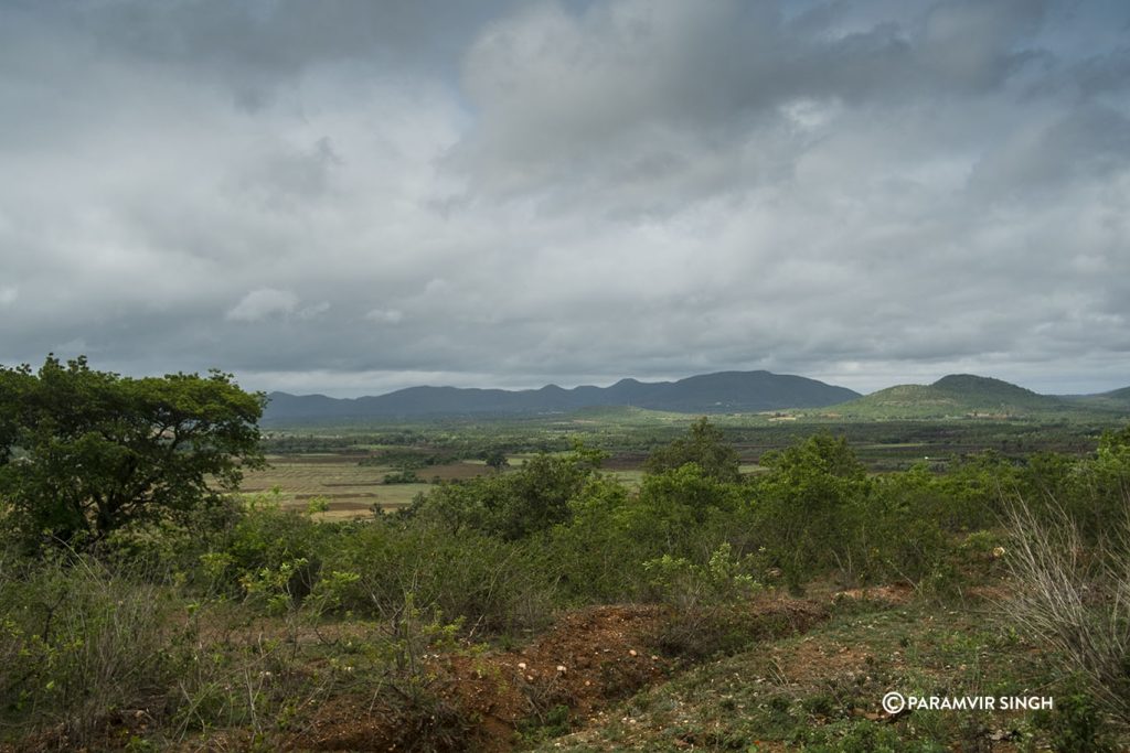 Chikmagalur vista in monsoon