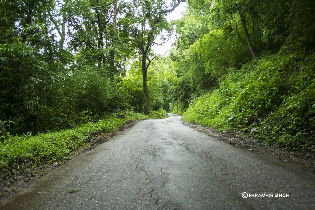 Road to Bhadra