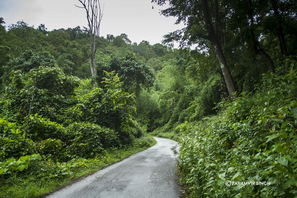 Towards Bhadra Tiger Reserve, Chikmagalur