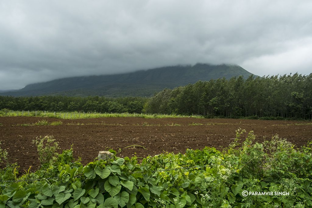 Chikmagalur farm