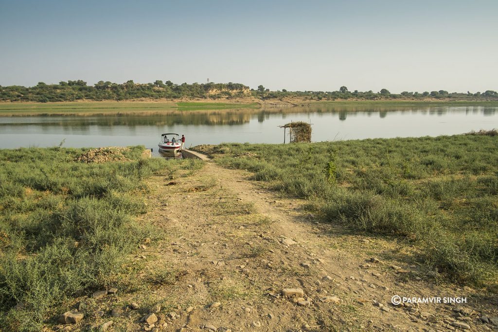 Starting the Chambal River Safari