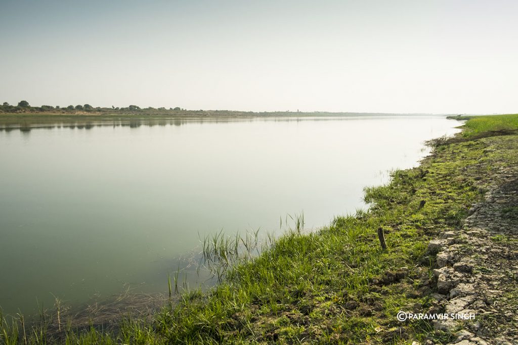 Chambal River Safari