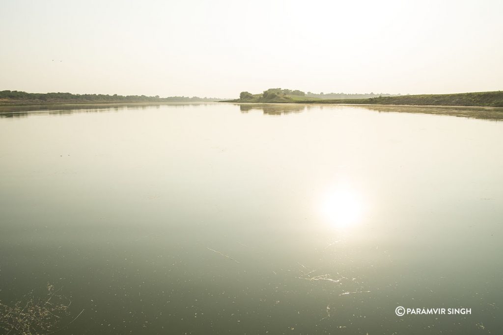 Chambal River Safari