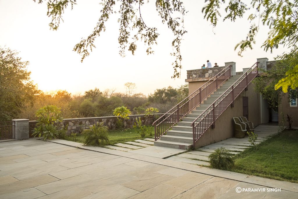 Chambal River Safari