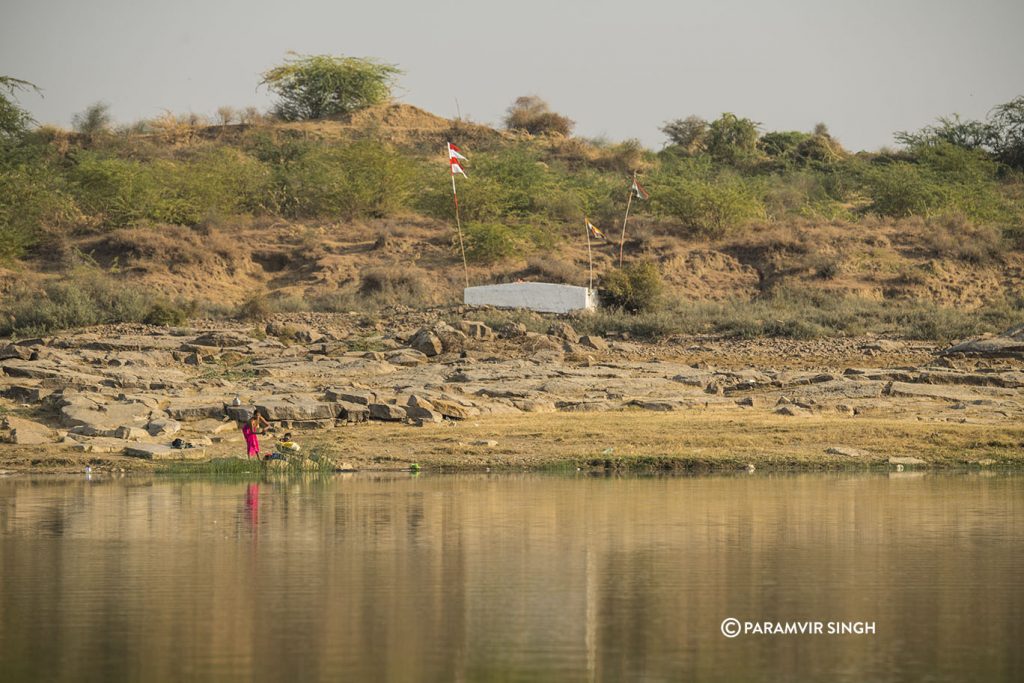 Chambal River Safari