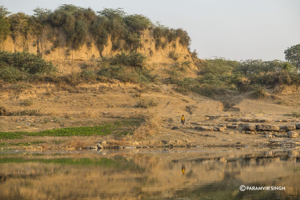 Chambal River Safari