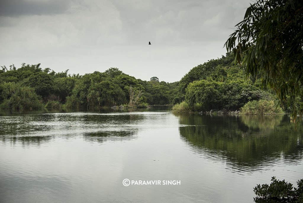 Ranganathittu Bird Sanctuary