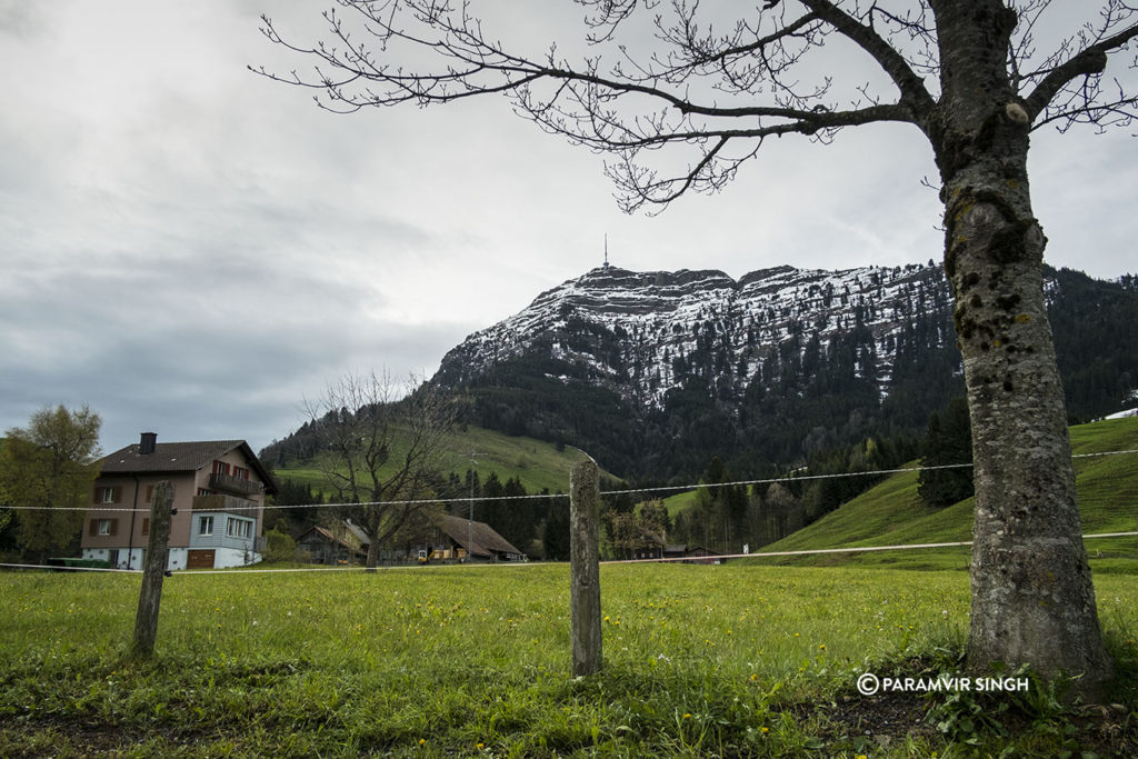 Meadows around Mount Rigi, Lucerne