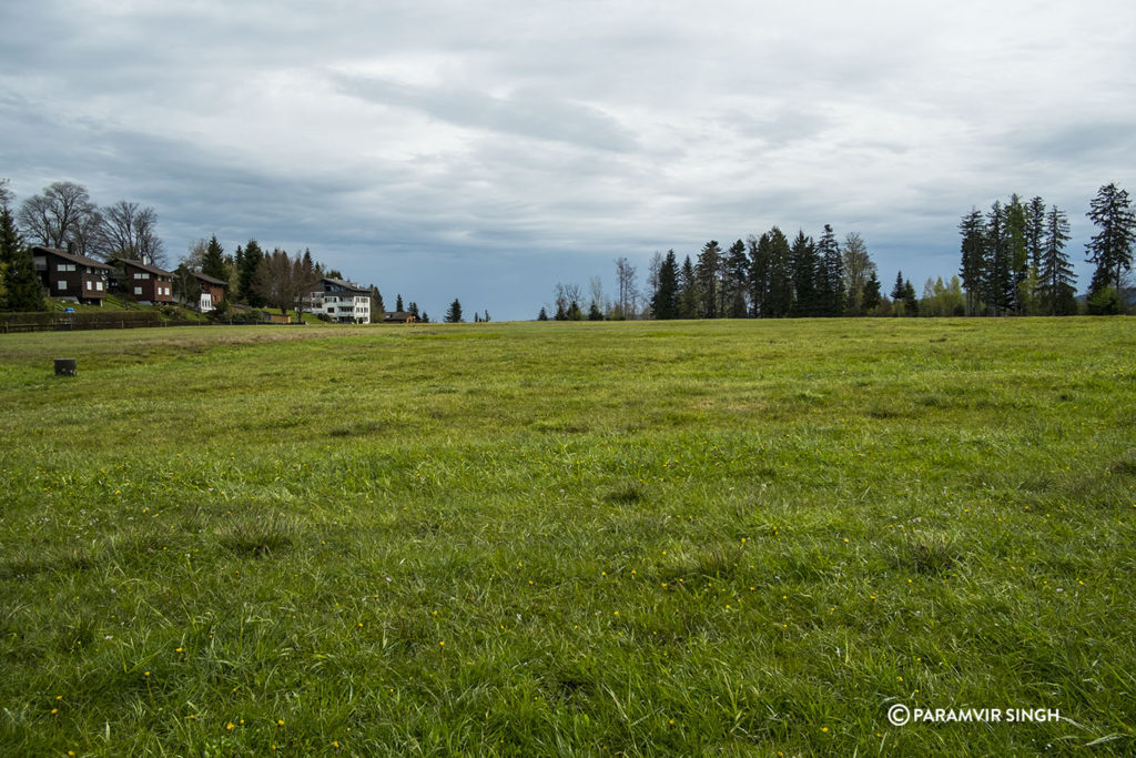 Meadows around Mount Rigi