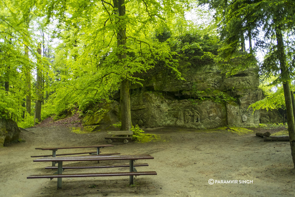 Picnic table in Safenwil woods