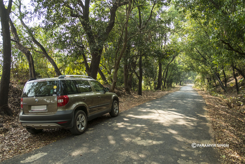 Countryside roads in Konkan Maharashtra