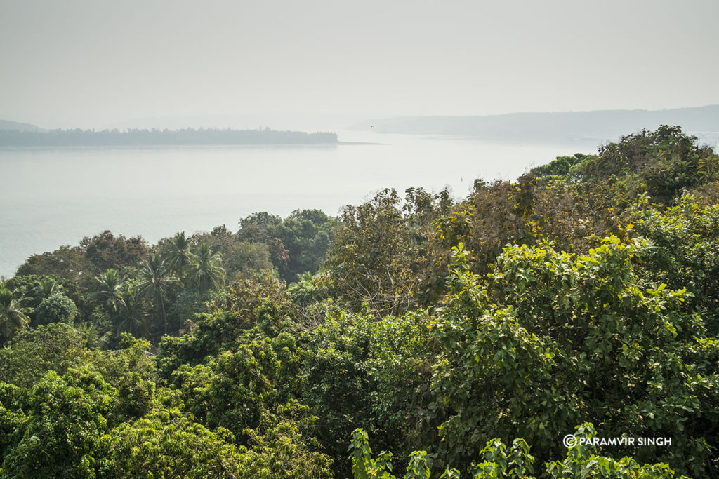 Arabian Sea