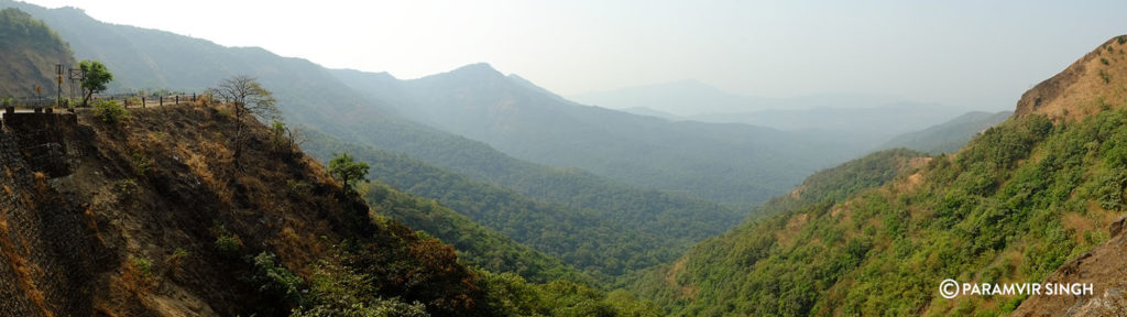 Panorama shot of forests near Ratnagiri