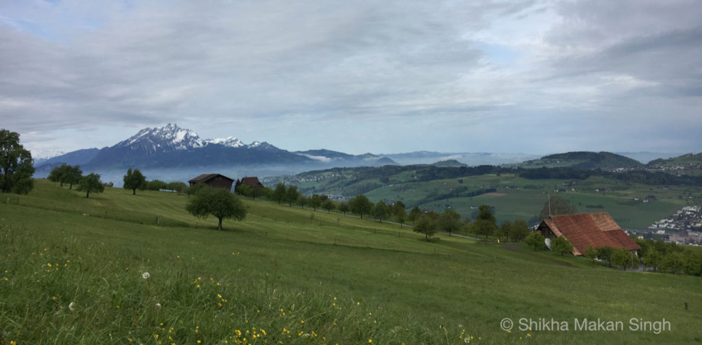 Lucerne