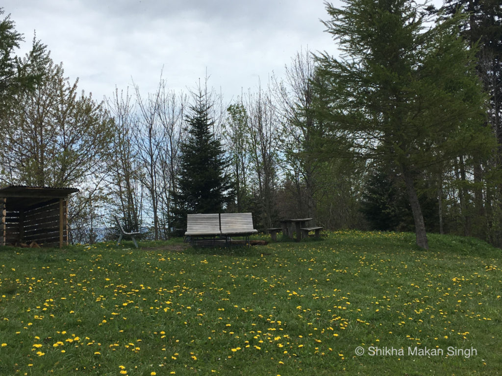 Park bench in Lucerne