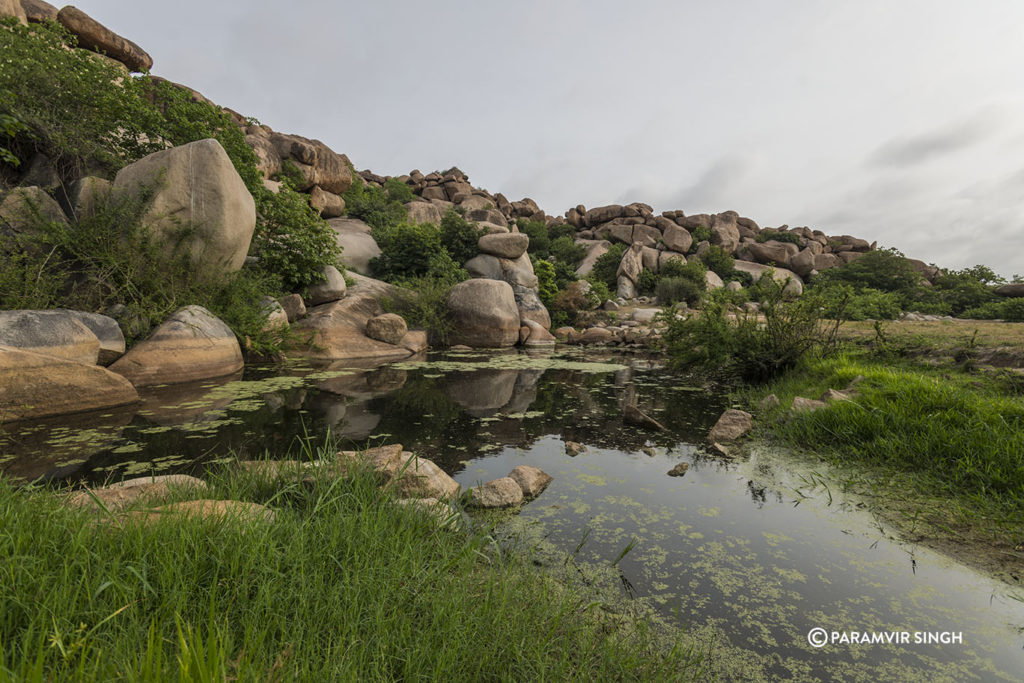 Hampiu Pond