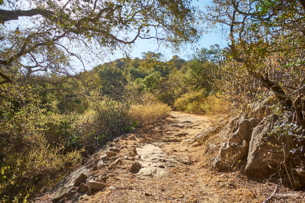 Trekking in Mount Abu