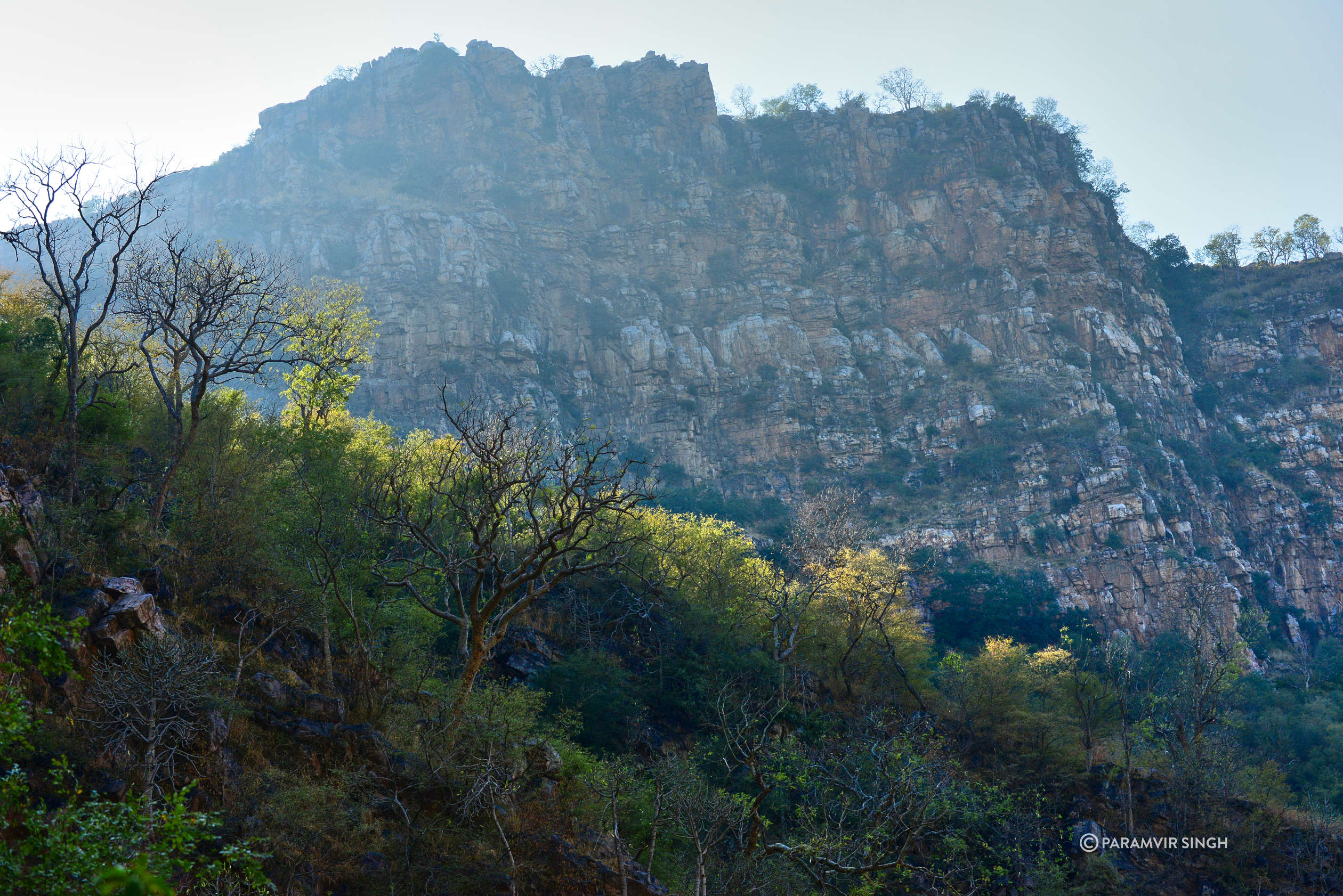 Sariska National Park