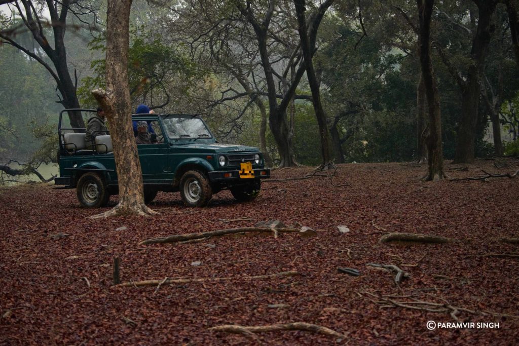 Safari Jeep Off Trail