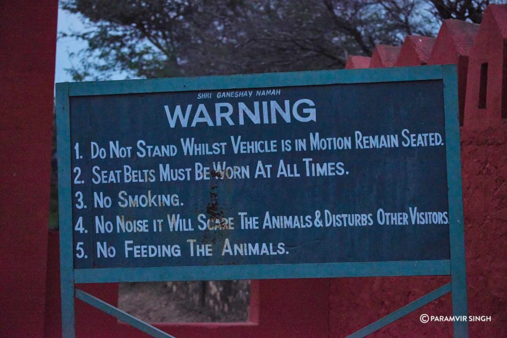 The basic rules in a Jungle Safari.