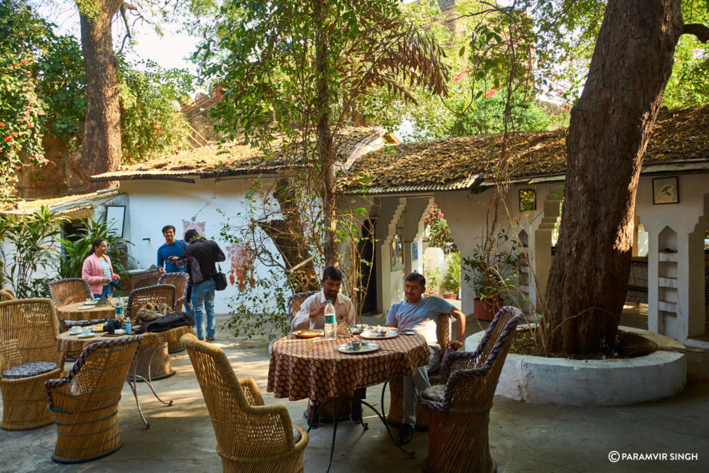 Labbooz Cafe Outdoor Seating Dappled Light