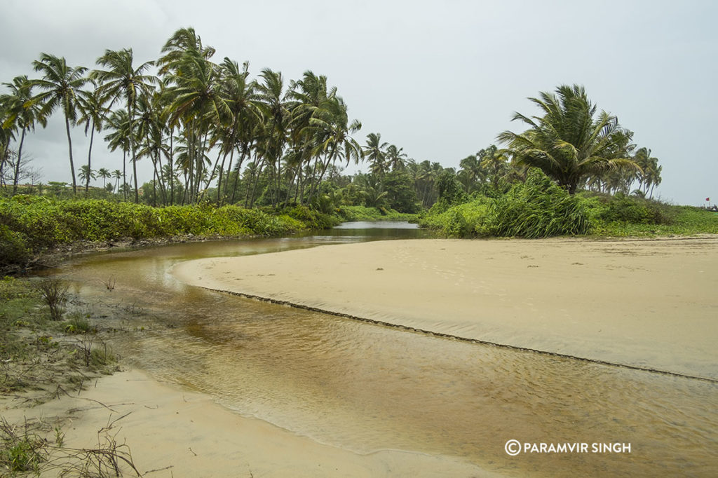 Majorda Beach, Goa