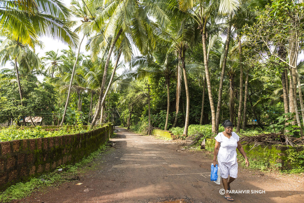 Vivenda Dos Palhacos, Goa