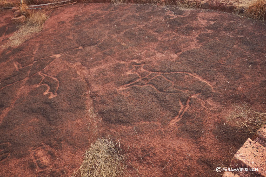 Petroglyphs in Ratnagiri