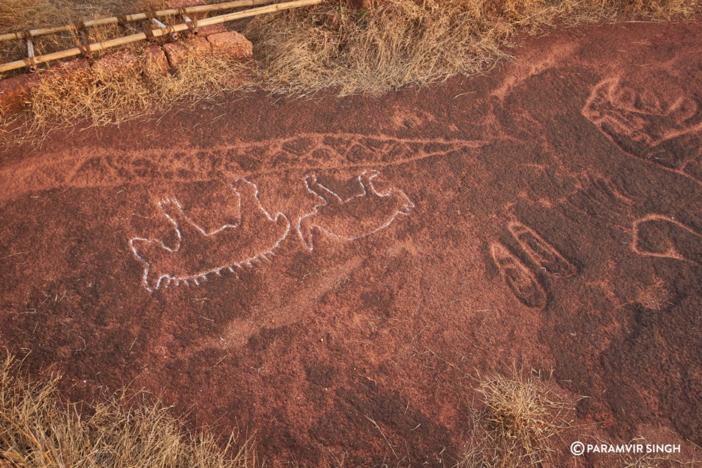 Petroglyphs in Ratnagiri