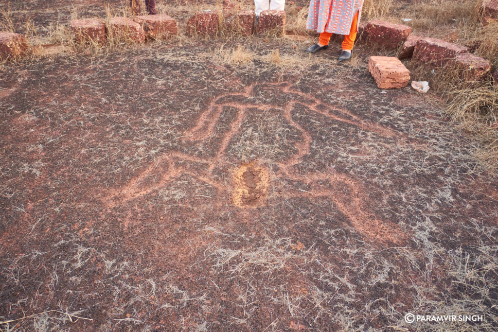 Petroglyphs in Ratnagiri