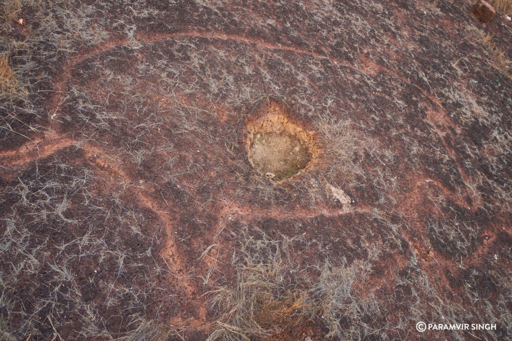 Petroglyphs in Ratnagiri