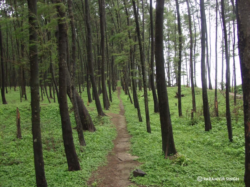 Places Near Me in Mumbai -  Alibaug