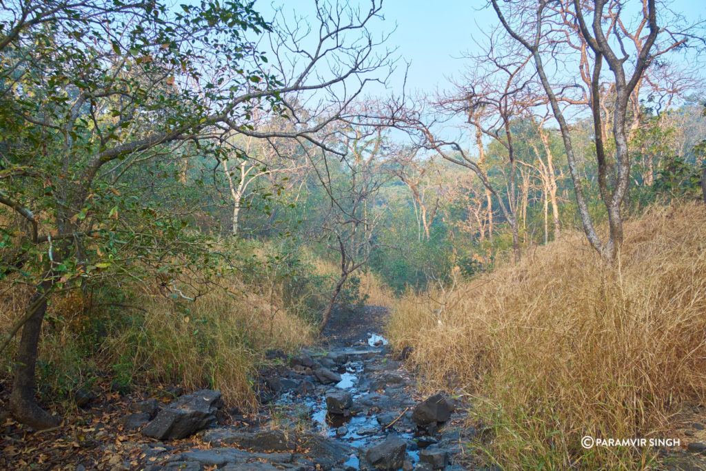 Places Near Me in Mumbai -  Karnala Bird Sancturay