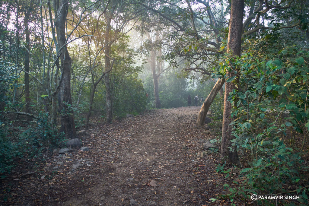 Early morning at Karnala Bird Sanctuary