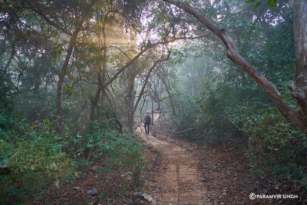 Karnala Bird Sanctuary