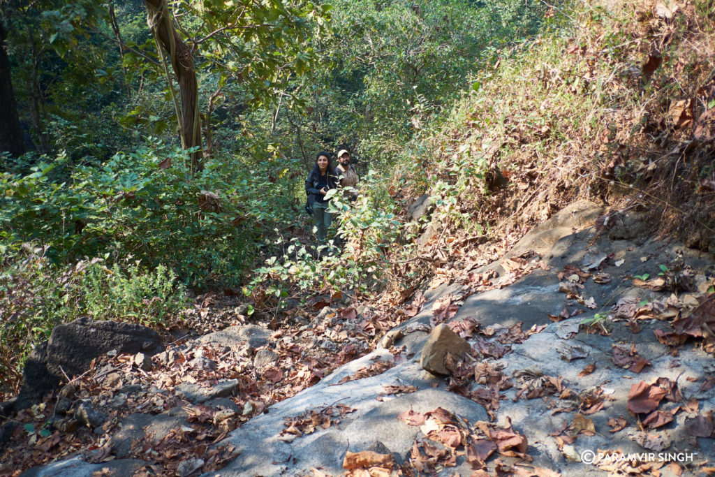 Karnala Bird Sanctuary