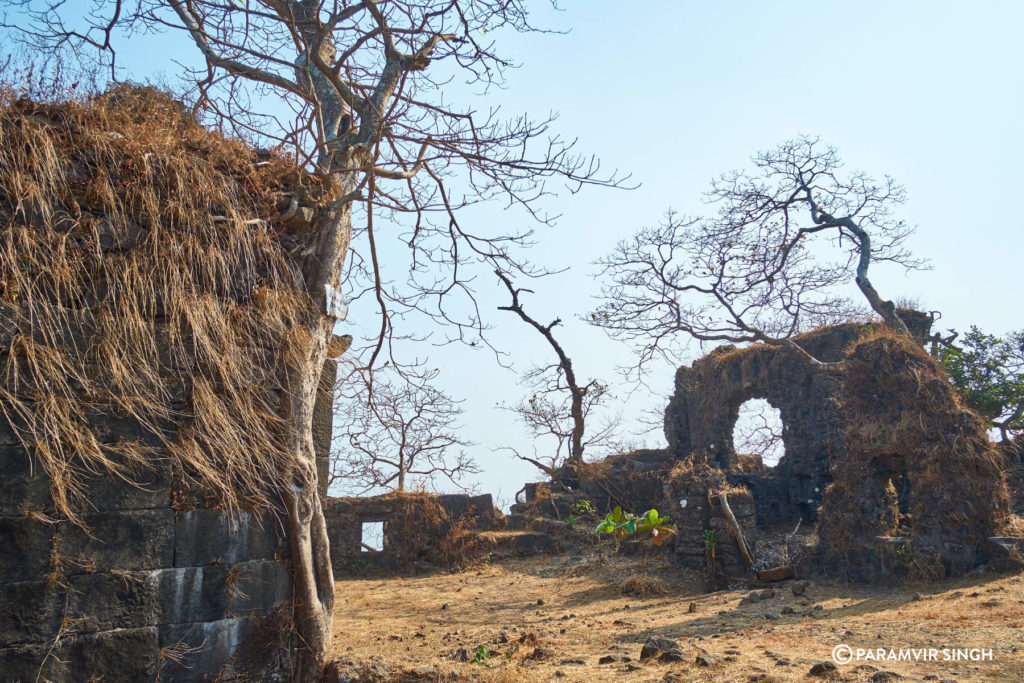 Karnala Fort